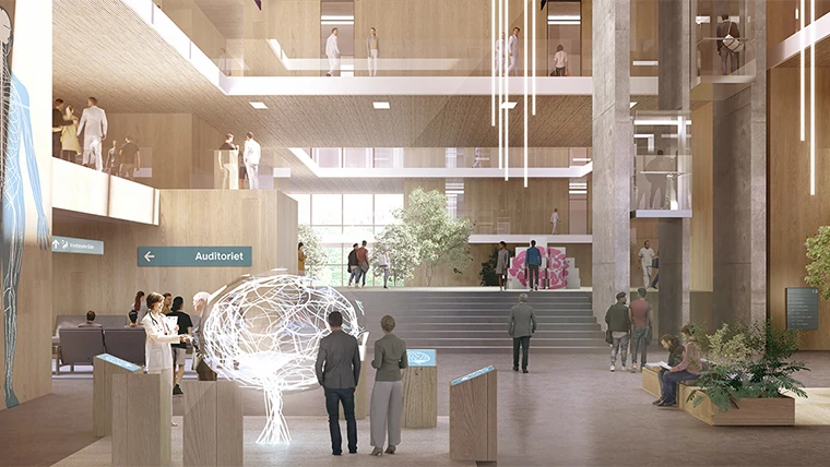 Foreløbig visionsskitse af HJERNEUNIVERSET, Kumulus